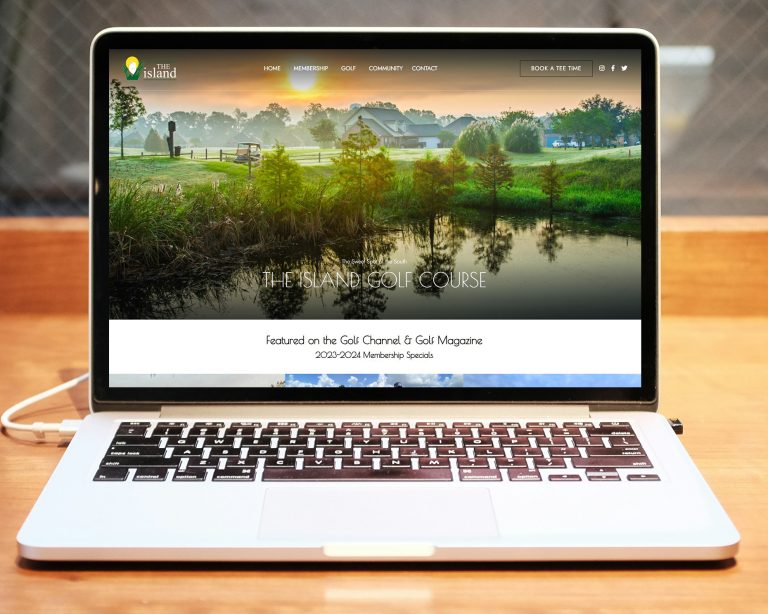 professional and affordable website design for local businesses in baton rouge