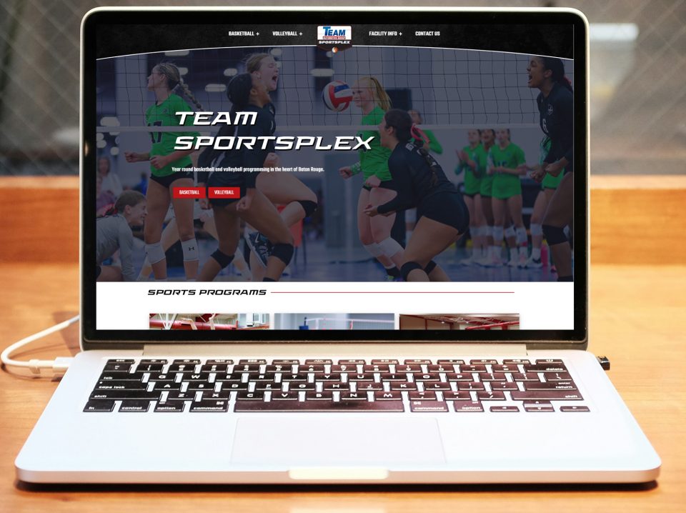 professional and affordable website design for local businesses in baton rouge